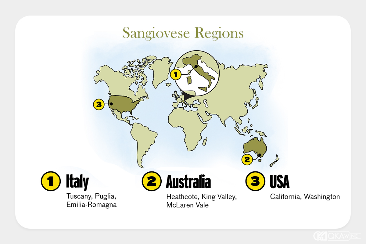 Những vùng trồng nho Sangiovese nổi bật