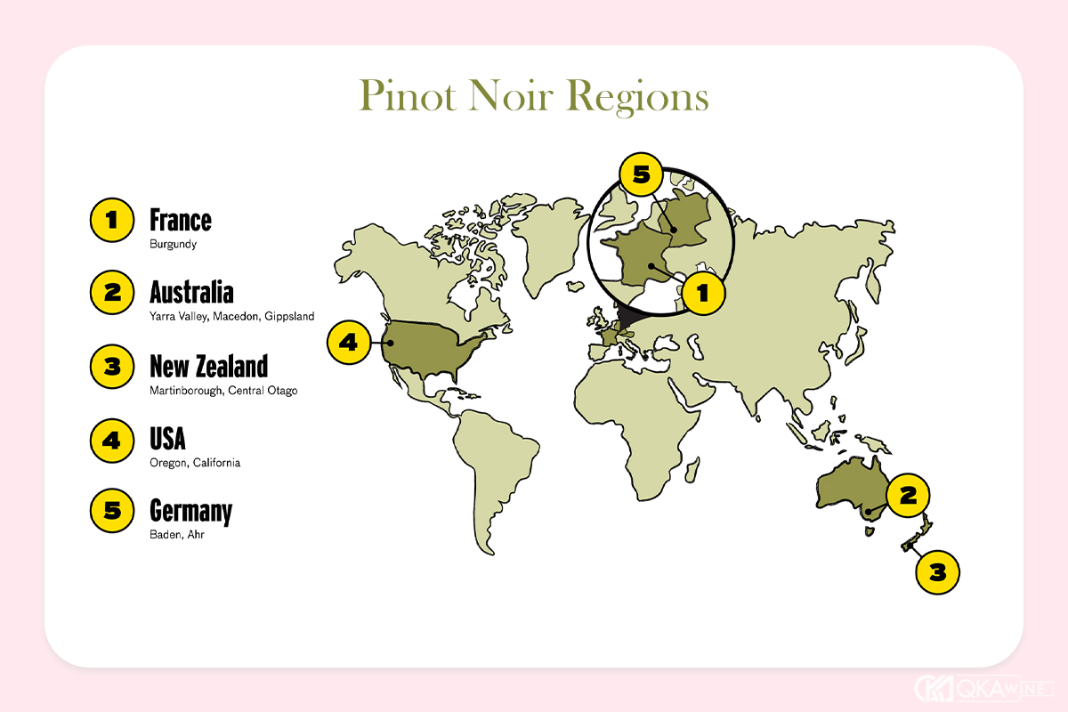 Vùng trong nho Pinot Noir nổi tiếng