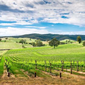 Vùng vang Barossa Valley