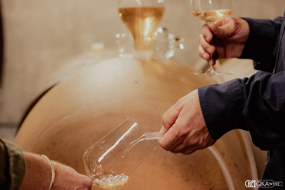 Ảnh hưởng của malolactic fermentation đến Chardonnay