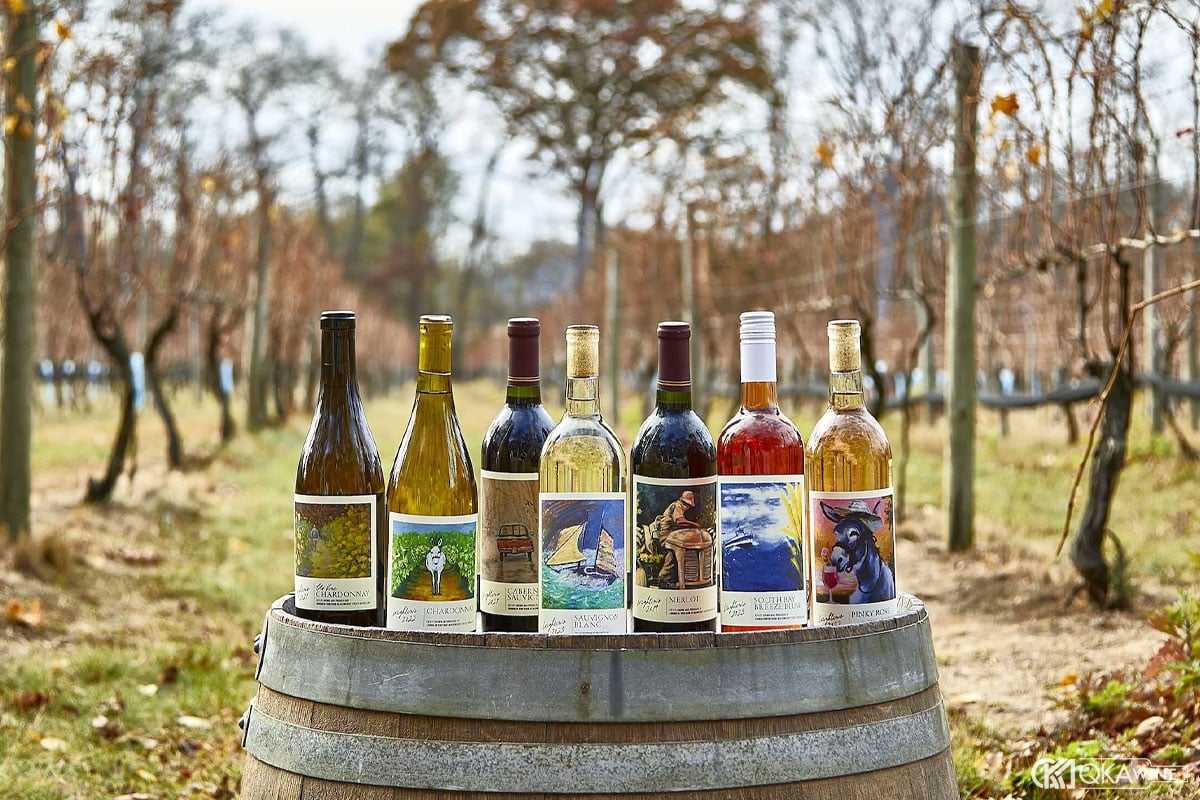 Ảnh hưởng của Vineyard đến phong cách rượu vang