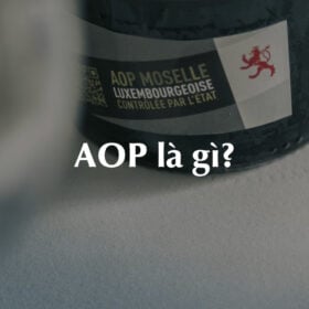 AOP là gì?