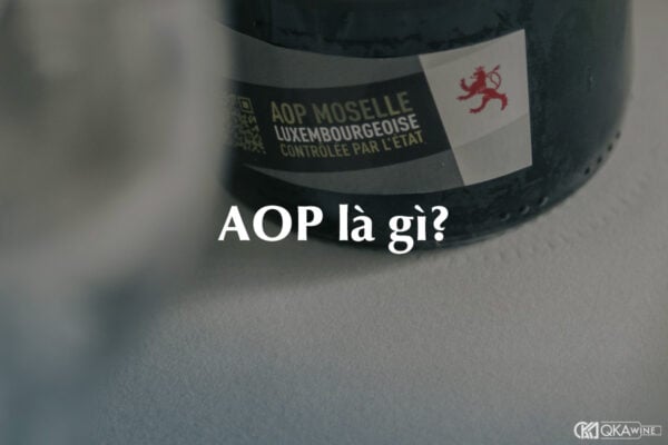 AOP là gì?