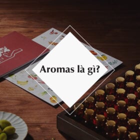 Aromas là gì trong rượu vang?