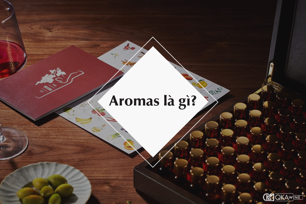Aromas là gì trong rượu vang?