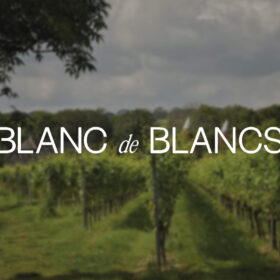 Blanc de Blancs là gì?