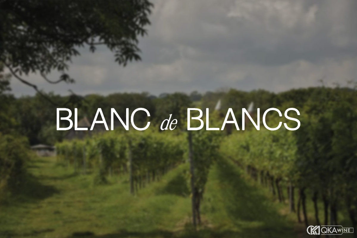 Blanc de Blancs là gì?