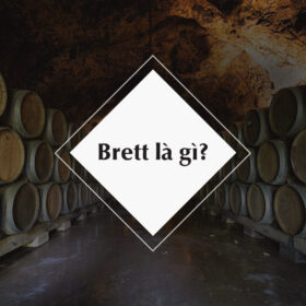 Brett hay Brettanomyces là gì trong rượu vang?