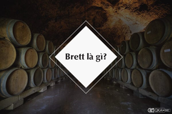 Brett hay Brettanomyces là gì trong rượu vang?