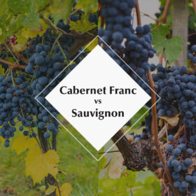 Cabernet Franc và Cabernet Sauvignon khác nhau như thế nào?
