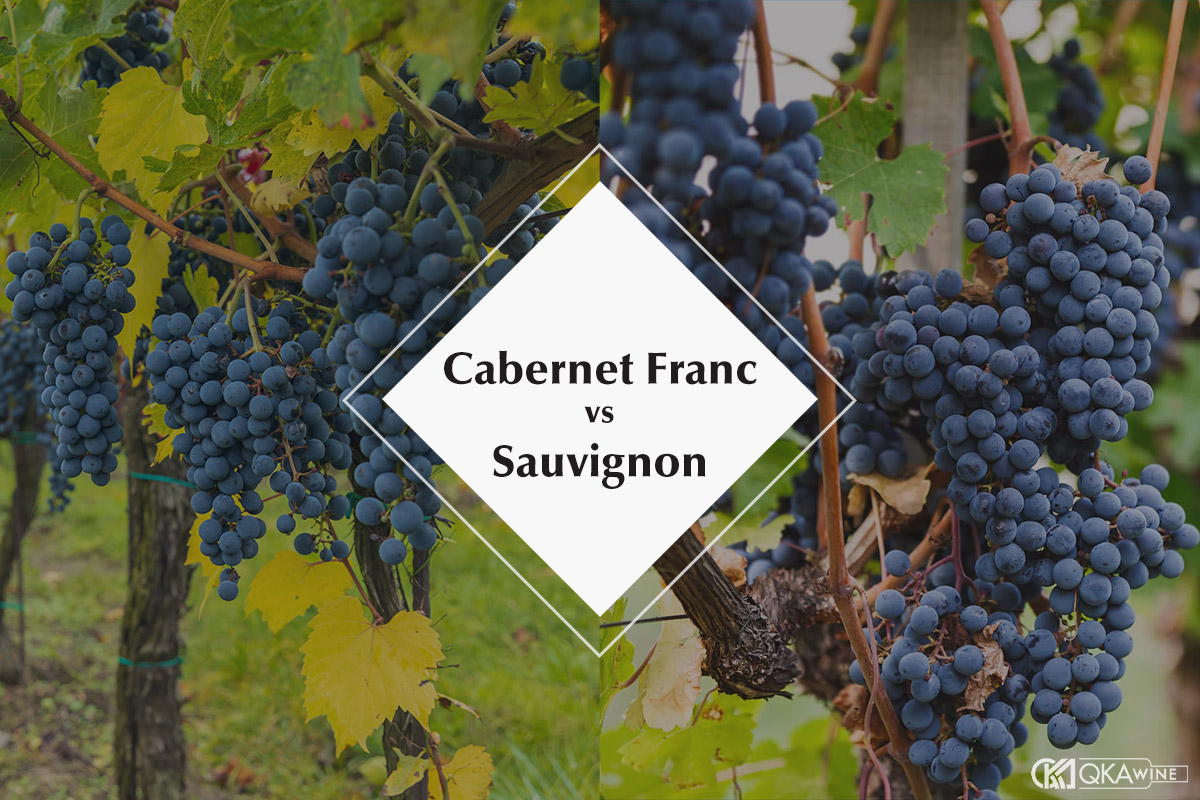 Cabernet Franc và Cabernet Sauvignon khác nhau như thế nào?