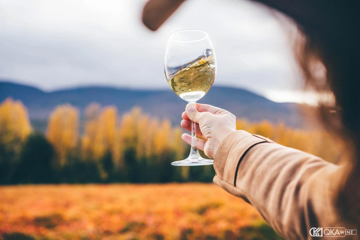 Các yếu tố cấu thành Terroir