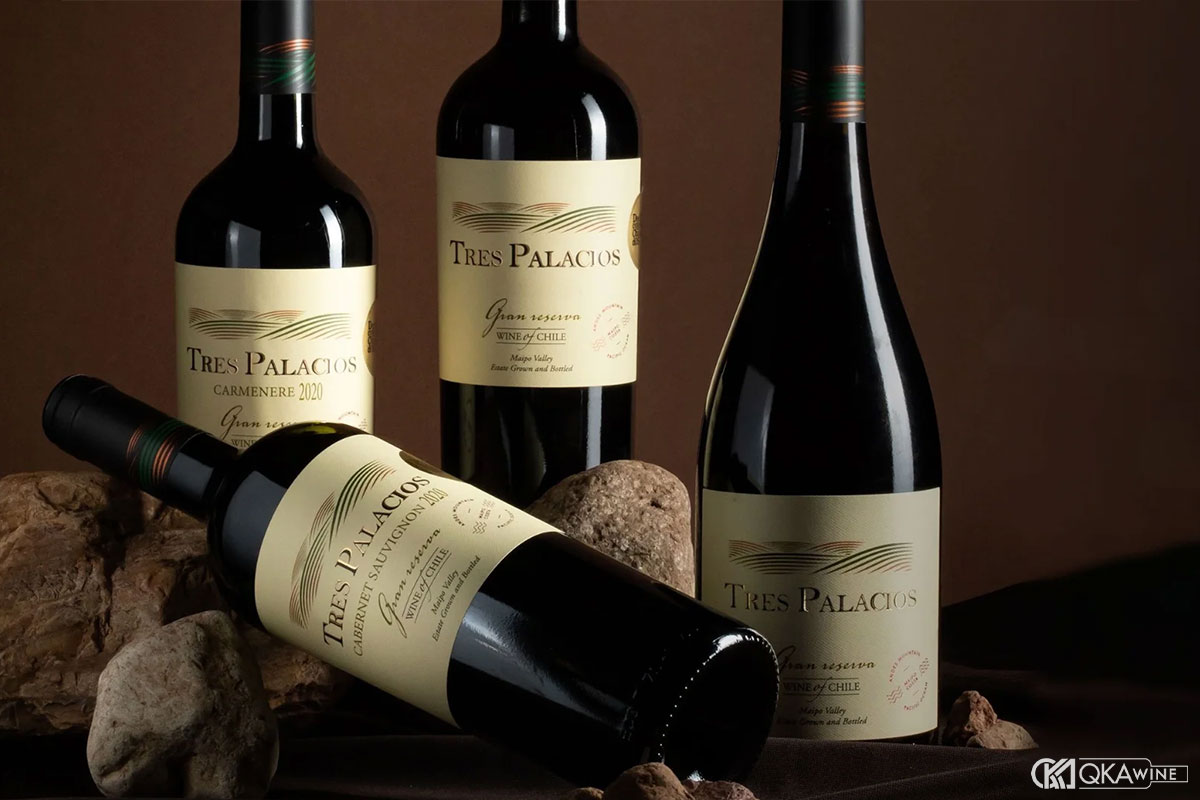 Cách chọn mua Carmenere Chile