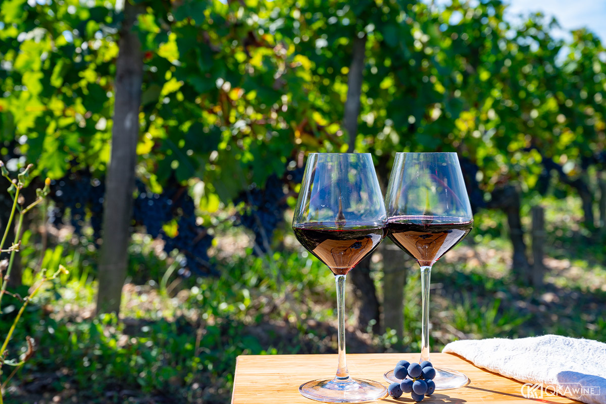 Cấu trúc rượu vang Cabernet Franc