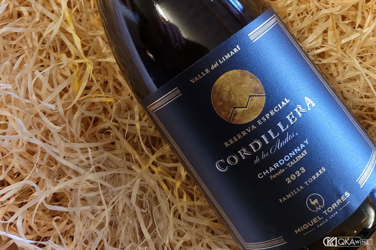 Chardonnay Chile đa dạng phong cách