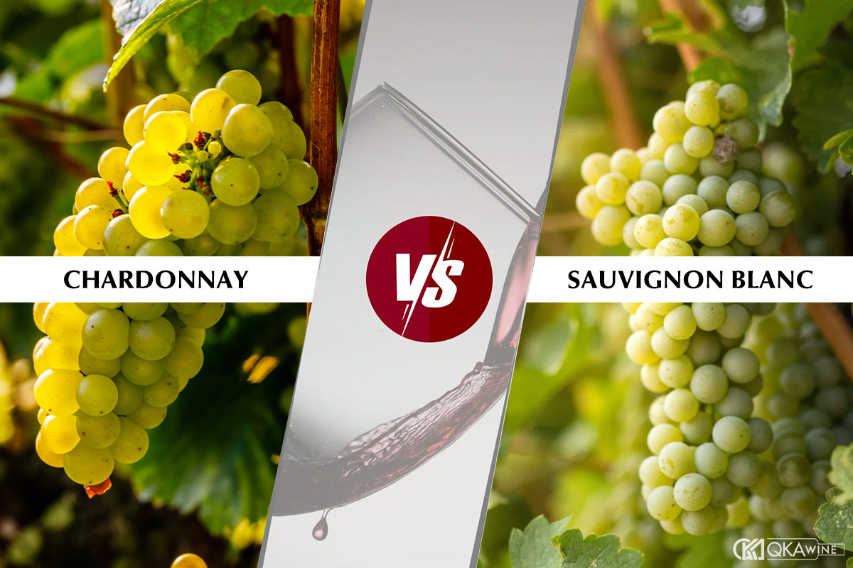 Chardonnay khác gì Sauvignon Blanc?