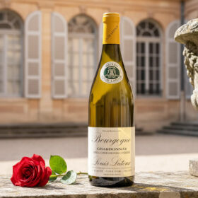 Chardonnay Pháp có gì đặc biệt?