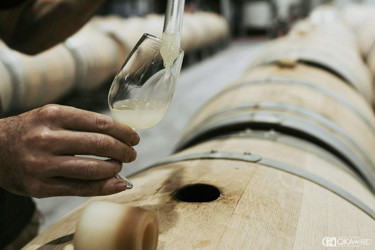 Chardonnay ủ gỗ sồi và không ủ gỗ sồi