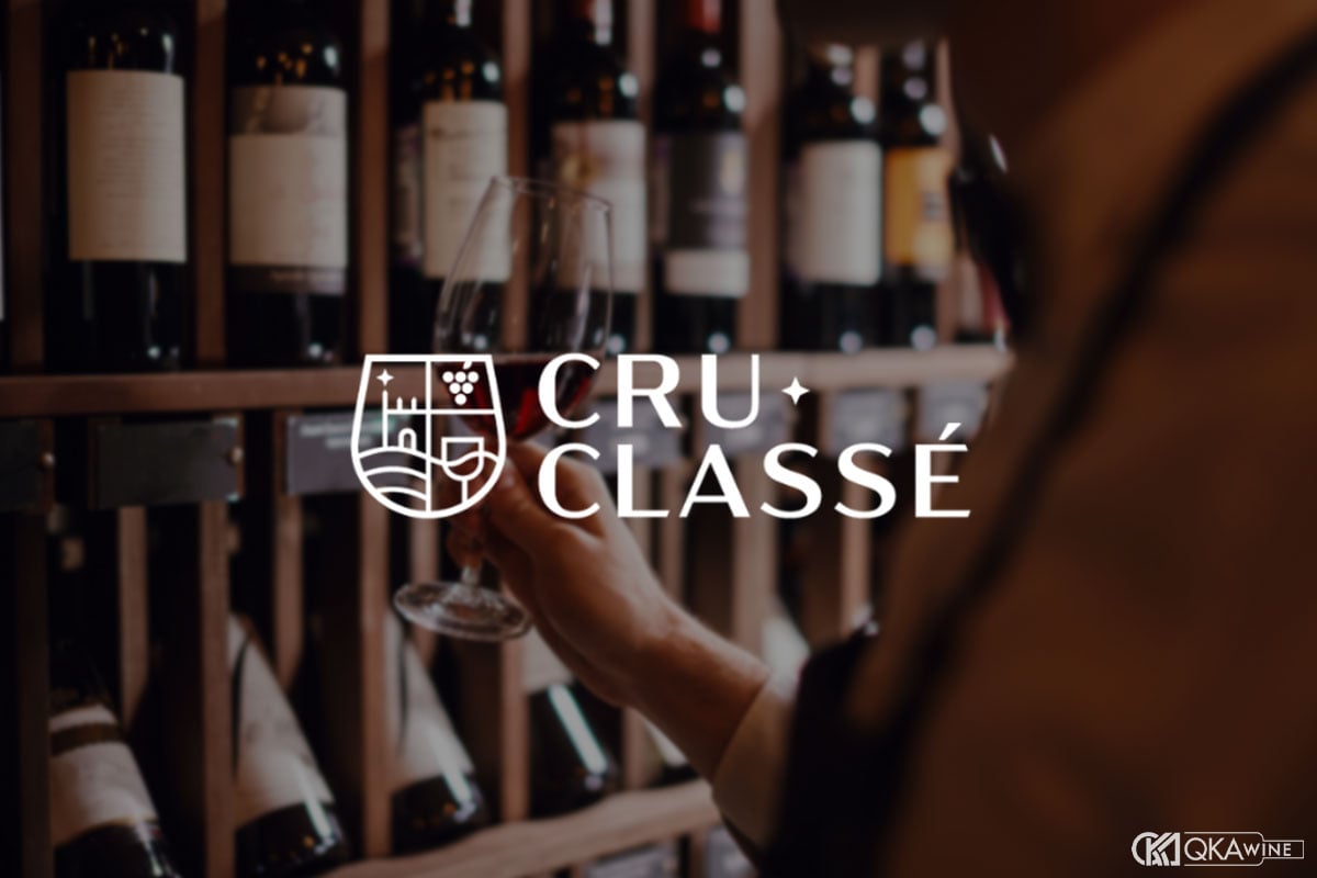 Cru Classé là gì?