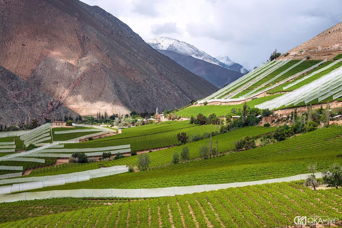 Đặc điểm thổ nhưỡng và khí hậu Central Valley