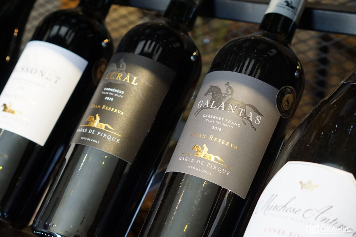 Đặc trưng các dòng vang chính của Maipo Valley