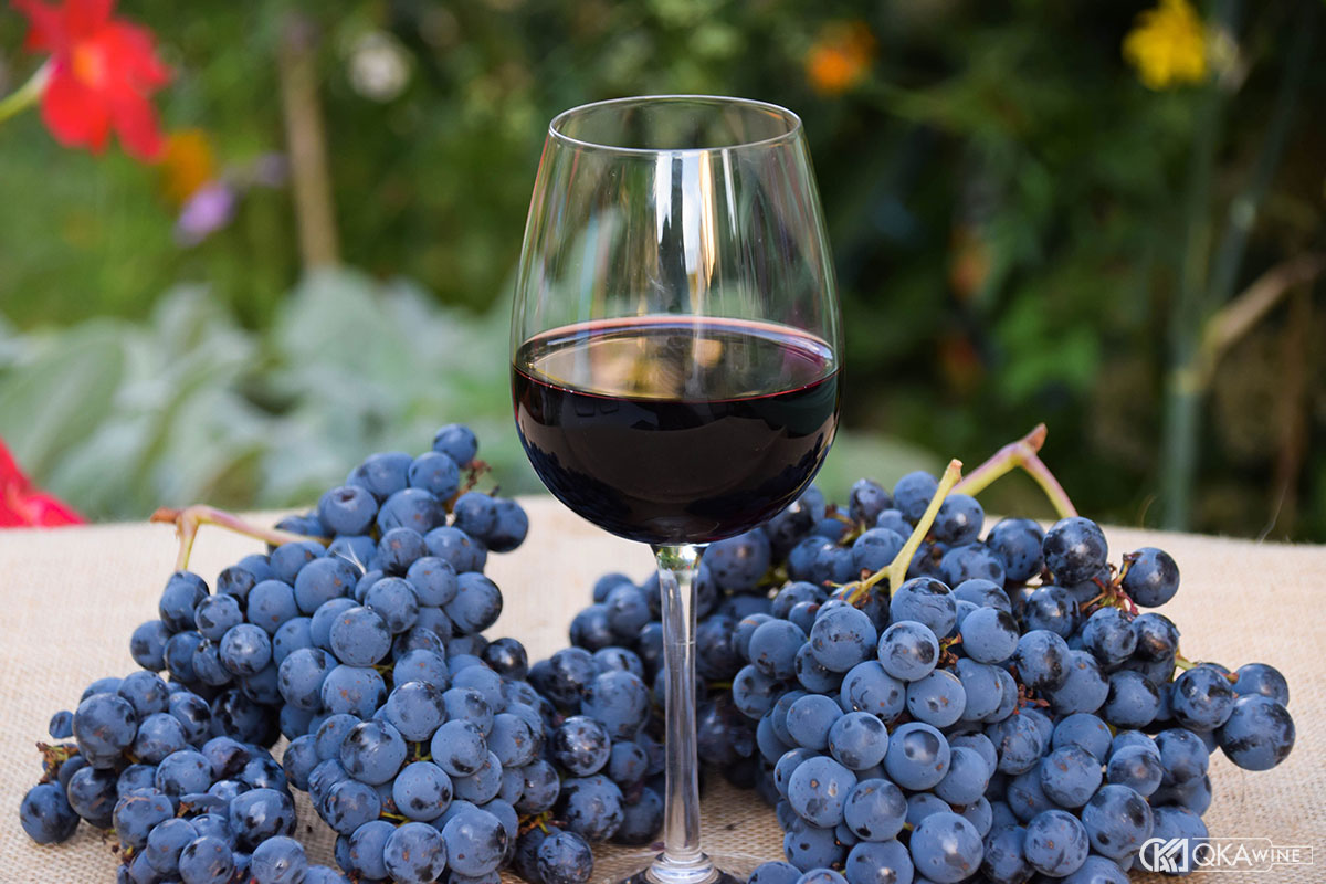 Hương vị Cabernet Franc và Malbec