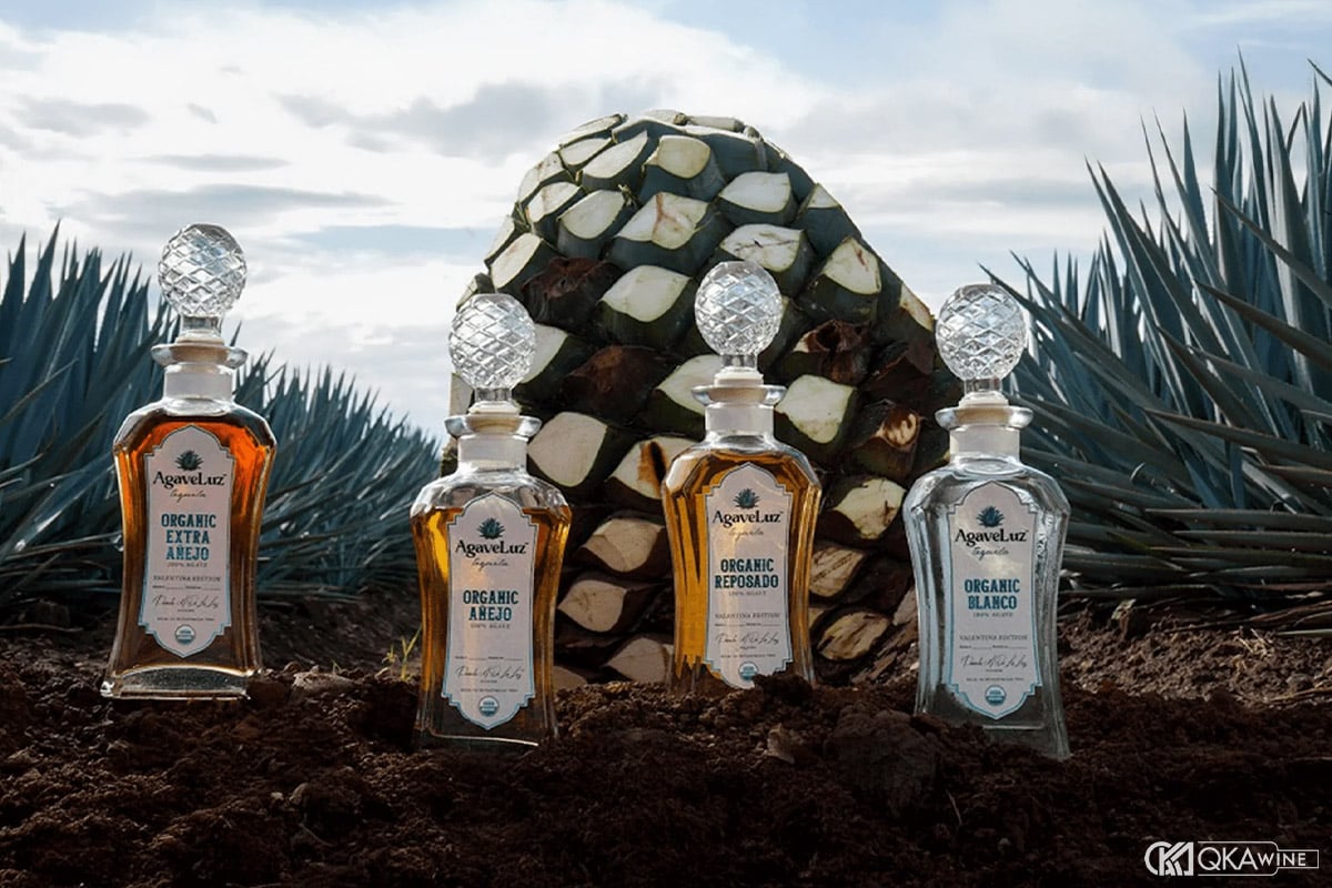 Hương vị đặc trưng của Tequila Anejo