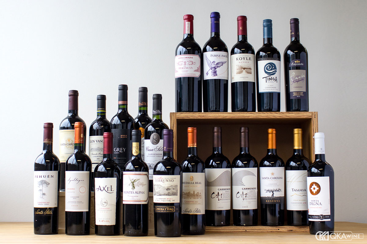 Khi nào nên chọn Carmenere Chile?