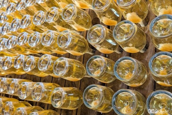 Lees ageing là gì?