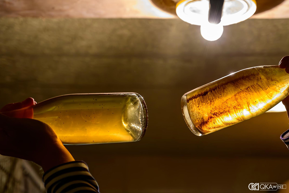 Lees gồm những gì?