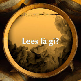 Lees là gì trong rượu vang?