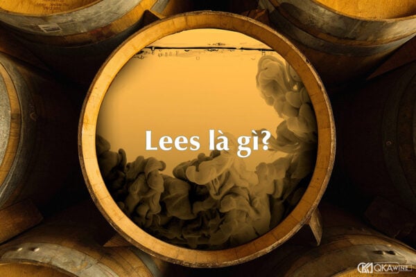 Lees là gì trong rượu vang?