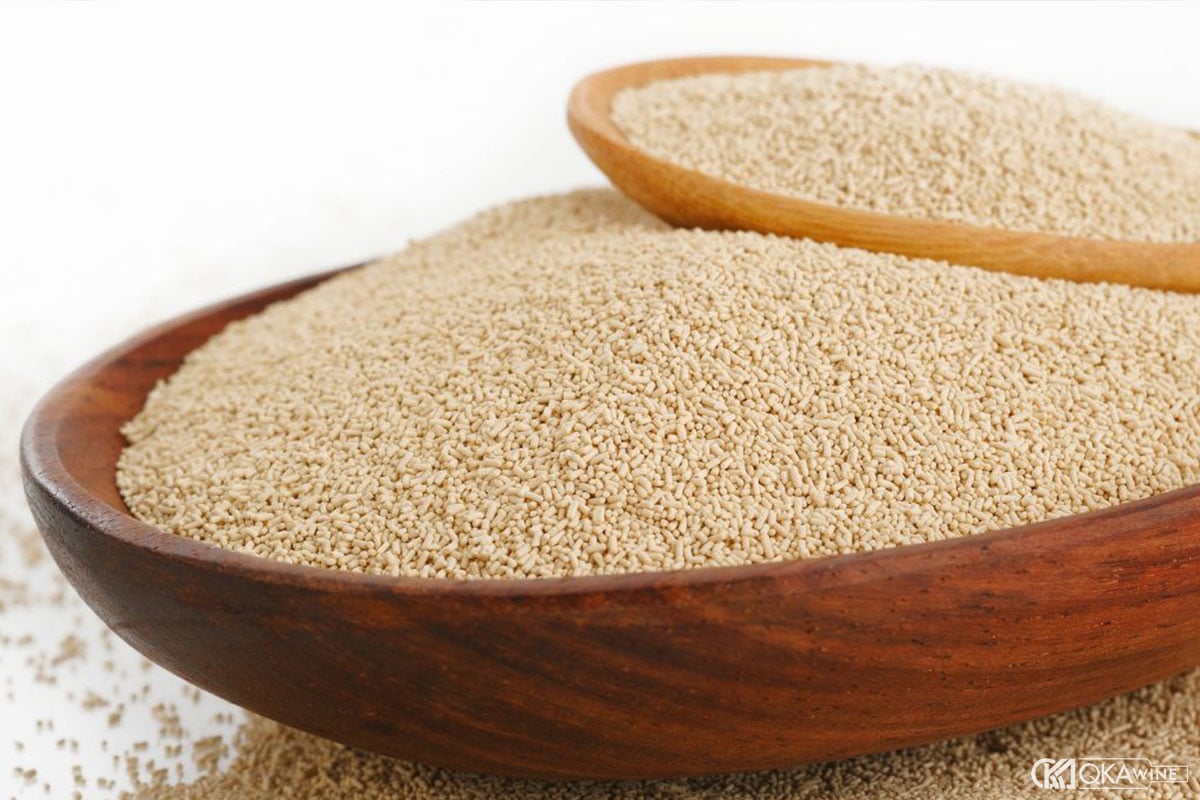 Men nuôi cấy tác động tới Chardonnay