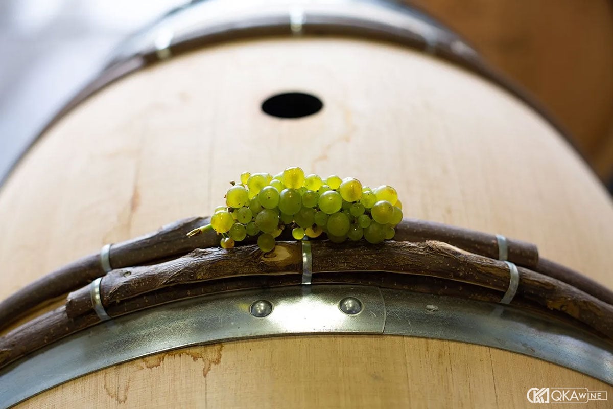 Nhà làm vang chọn men theo phong cách Chardonnay