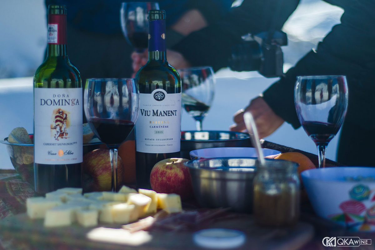 Pairing vang Chile theo nhóm nguyên liệu