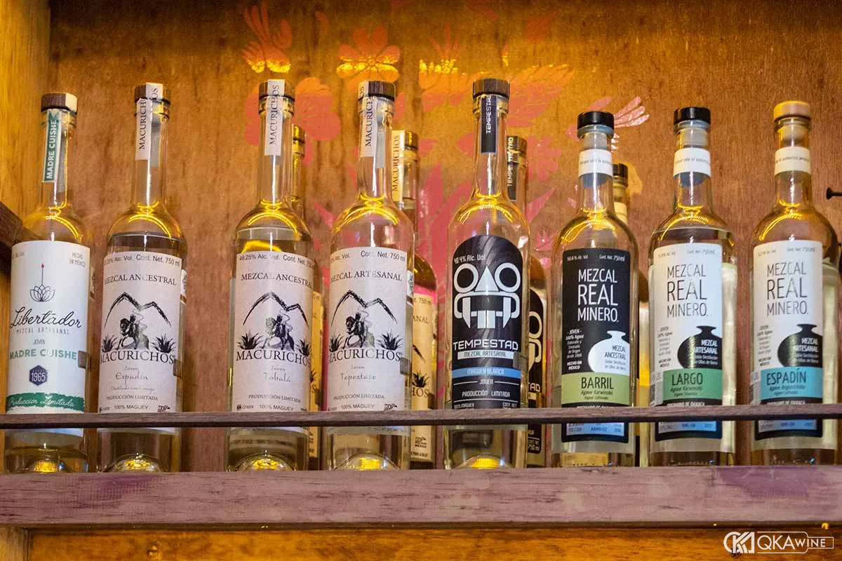 Phân loại rượu Mezcal