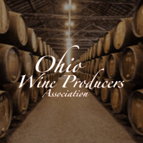 Producer trong rượu vang là gì?