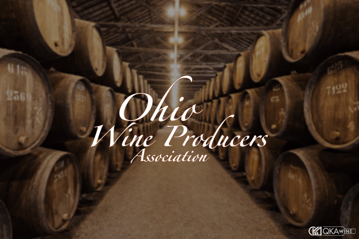 Producer trong rượu vang là gì?