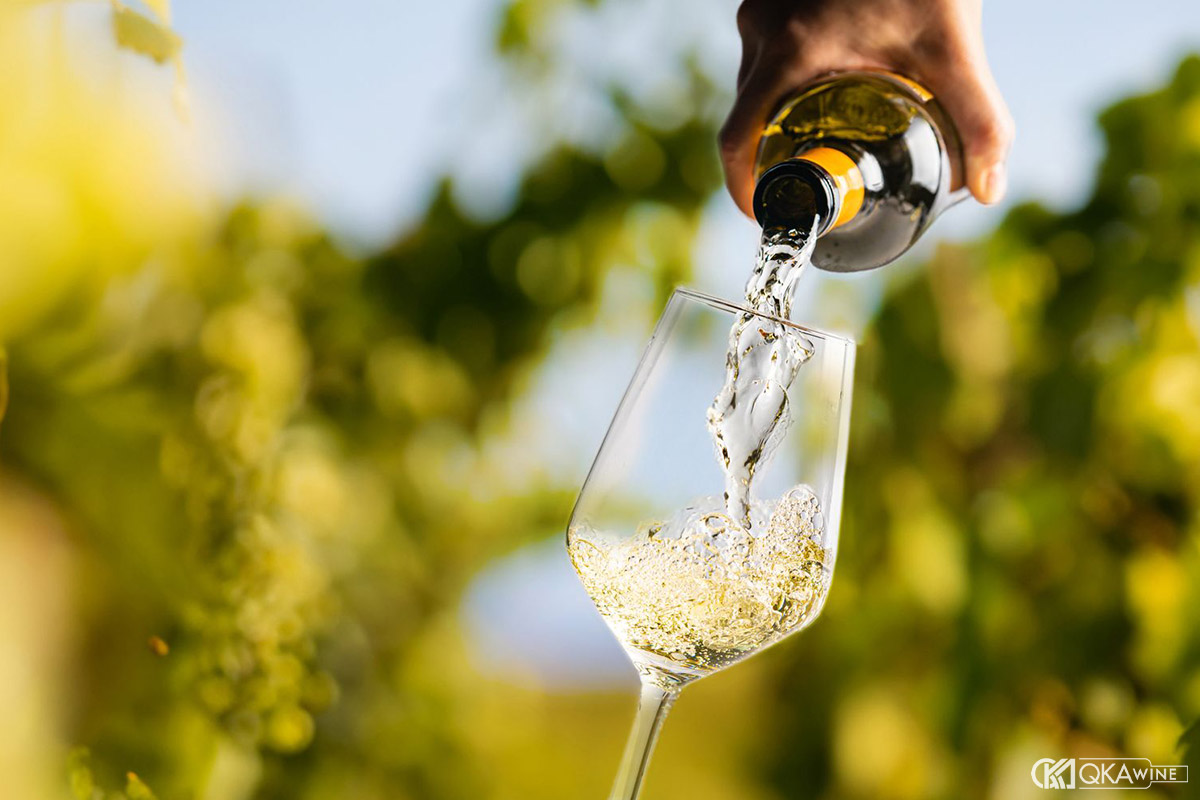 So sánh Burgundy và Chablis