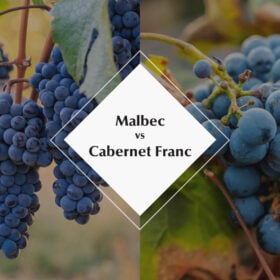 So sánh Cabernet Franc và Malbec