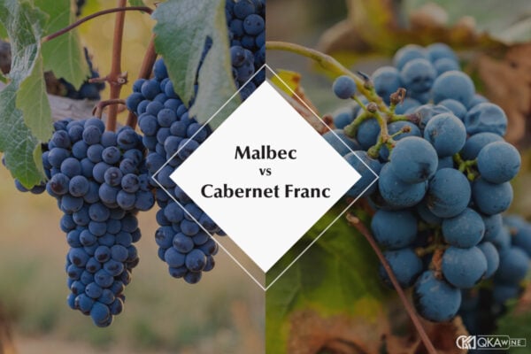 So sánh Cabernet Franc và Malbec