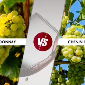 So sánh Chardonnay và Chenin Blanc