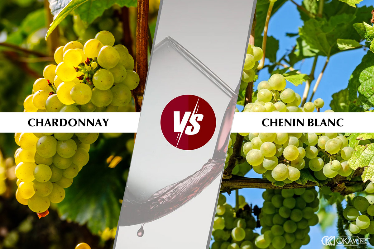 So sánh Chardonnay và Chenin Blanc