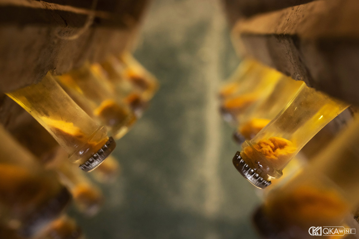 Sur Lie làm thay đổi hương vị rượu vang thế nào?