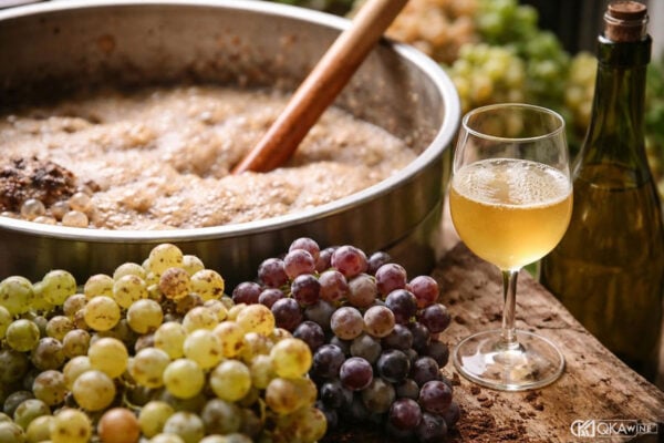 Tác động của men tới phong cách Chardonnay