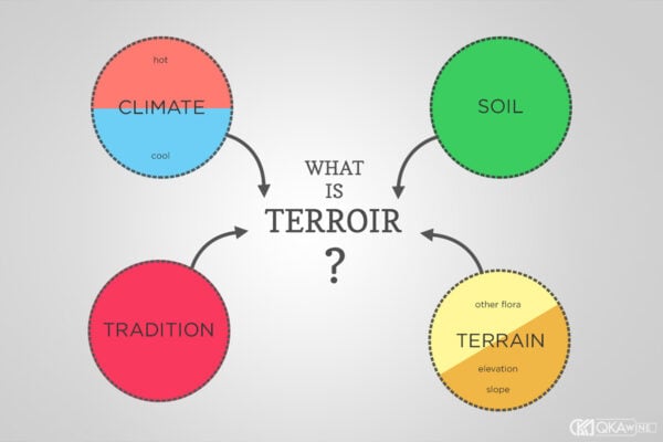 Terroir là gì?
