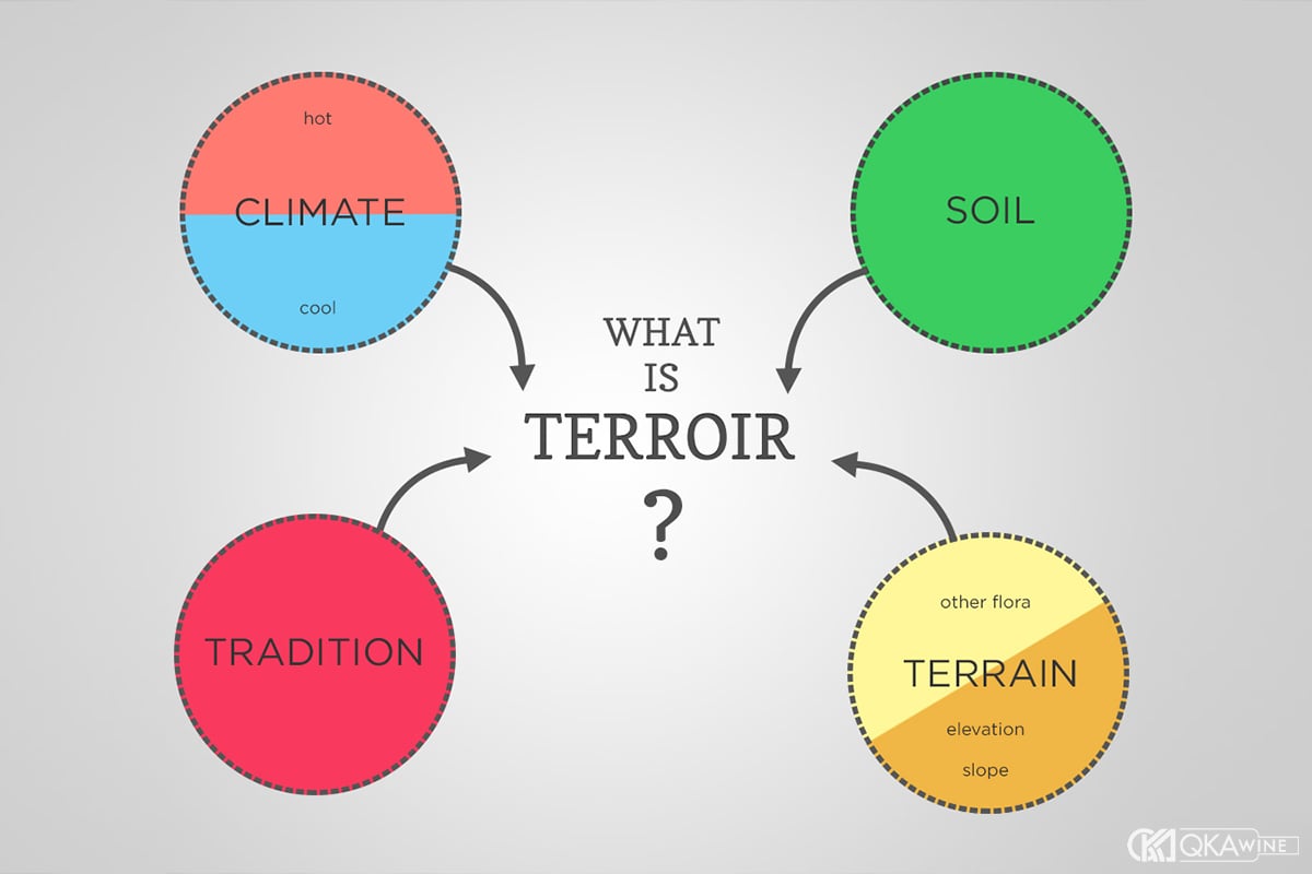 Terroir là gì?