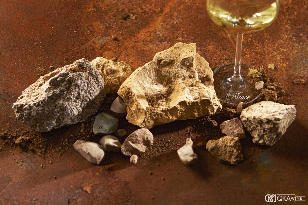 Terroir tác động tới rượu vang thế nào?