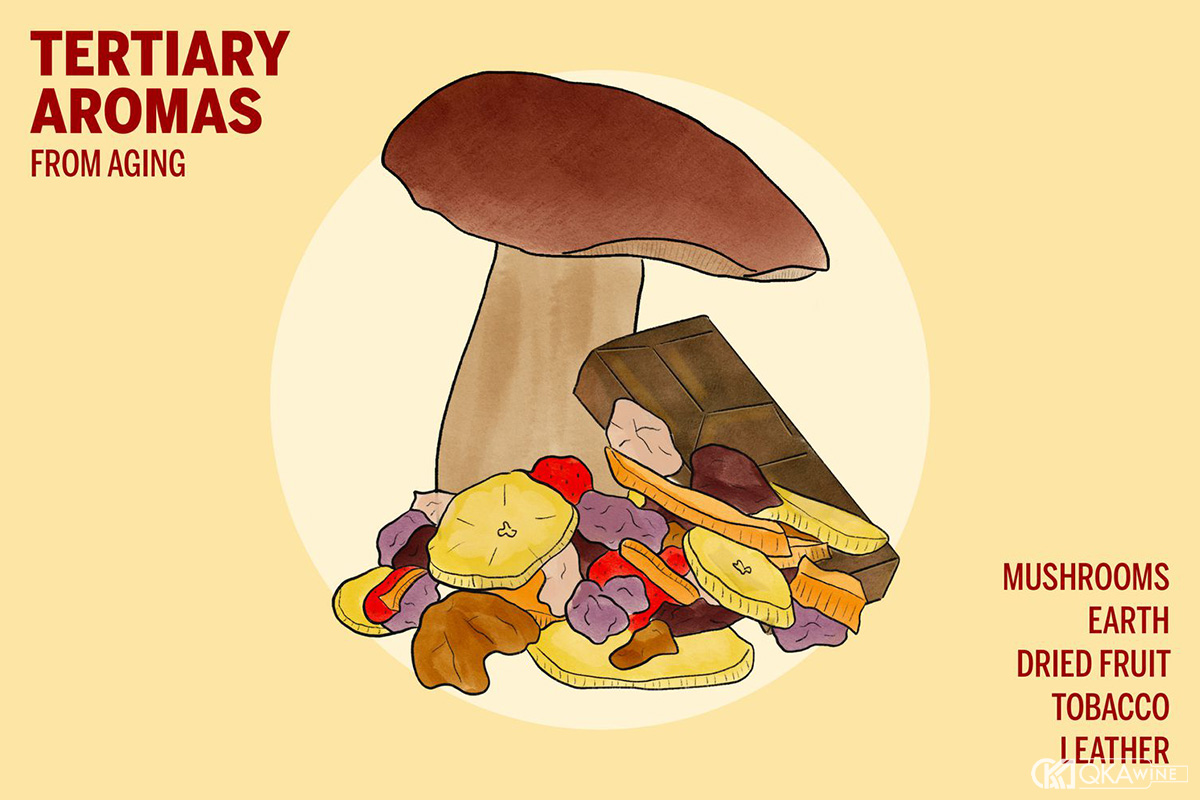 Tertiary Aromas là gì?