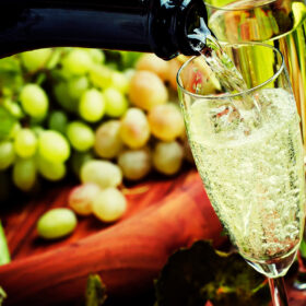 Vai trò của Chardonnay trong Champagne và Sparkling Wine